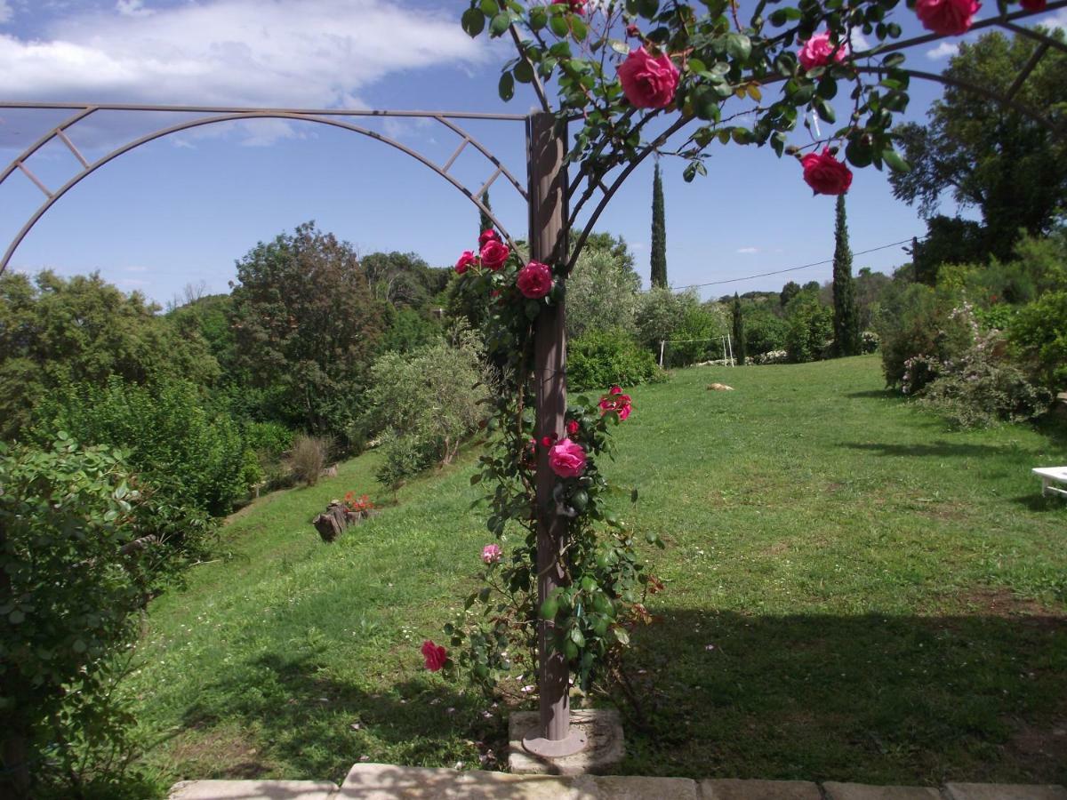 Appartement soleil et farniente à Cervione Extérieur photo