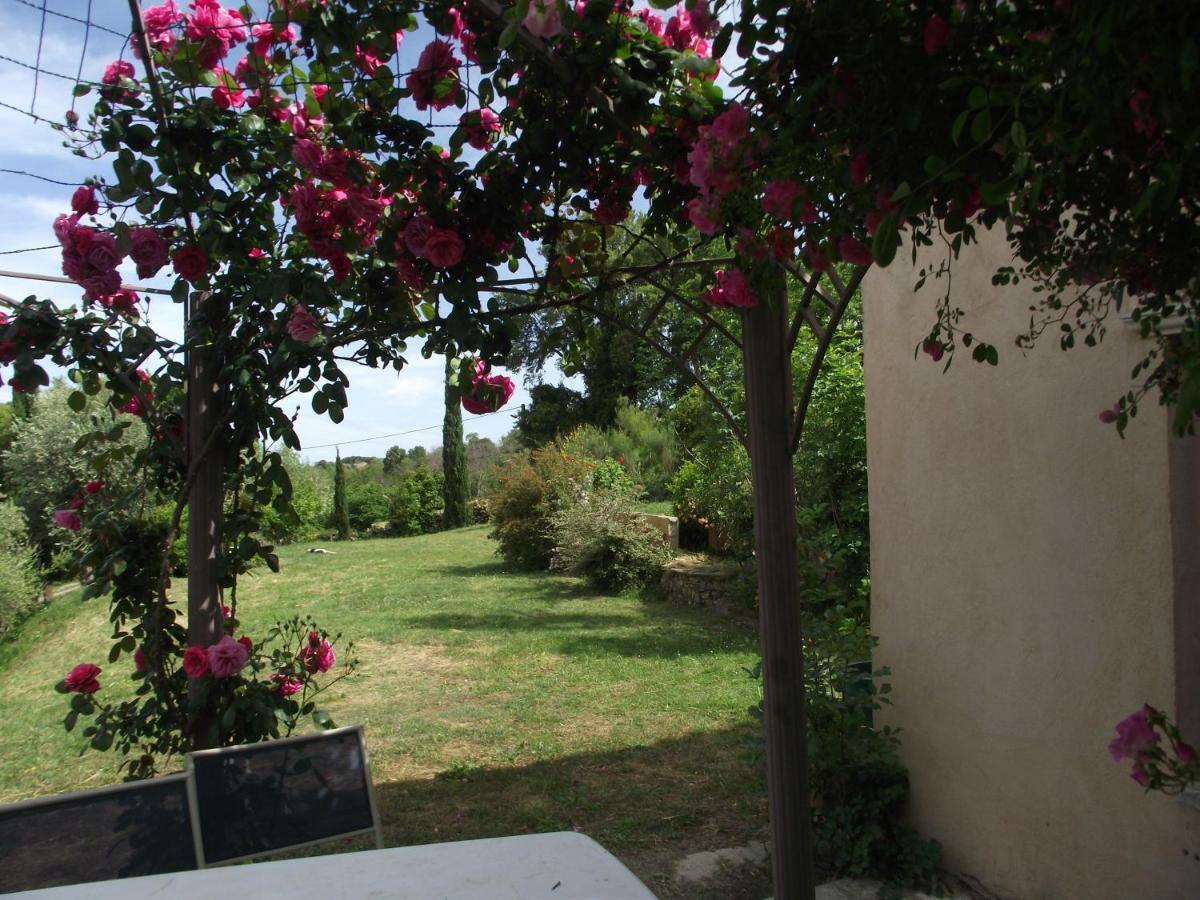 Appartement soleil et farniente à Cervione Extérieur photo